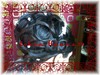 Chignon