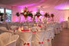 Dcoration de tables vases martini composition florales, habillage des murs, jeux de lumires.