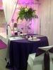 table d'honneur violet/argent , vase martini avec composition florale, rideaux lumineux, trne et 