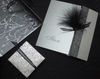 3 Volets sur papier argent, bande brillant noire, plume