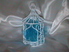 CAGE TUNISIENNE