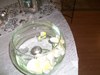 CENTRE DE TABLE