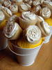 Cupcake