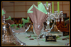 Dco vert pomme chocolat