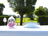 Dcoration buffet