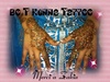 Henna et paillettes 