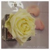 Mariage Rose Ple Argent -2