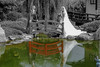 Mariage oriental Saint-Priest