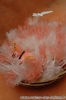 Panier de tulles roses et blancs garnis de drages