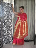 SAREE ROSE