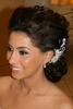 STRASS