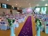 Traiteur et Dcorateur Oriental Les Diamantines - Thme blanc et mauve