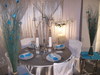 Turquoise-Silver