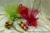 Univers fushia et vert anis