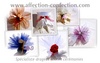 affection confection