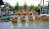 buffet traiteur