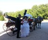 calche cheval mariage oriental