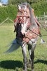 cheval avec harnachement typique de fantasia