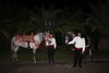 chevaux mariage oriental