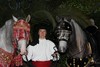 chevaux mariage oriental