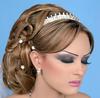 chignon