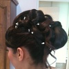 chignon