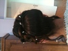 chignon