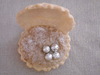 coquillages