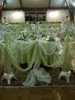 deco blanc et vert anis 