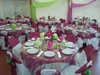 deco fuschia anis