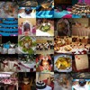 deco traiteur leyla