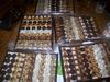 gateaux