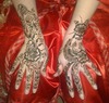 henna indienne
