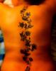 henne dos