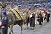les dromadaires au stade de france