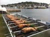 mechoui sur le port