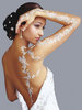poudre de diamant et strass