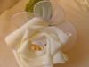 rose  drages, existe aussi en rose