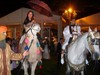 un cheval avec un dromadaire