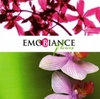  Emobiance Fleurs