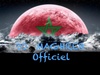  Dj Maghreb
