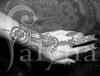  Falyna Cration