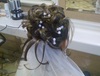  Home Hair Coiffure