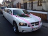  Limousine Events