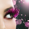  Maquilleuse Pro