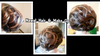  Nawal Hair & Make up