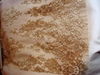  PASSIONDENTELLE