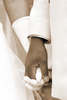  Photos Concept