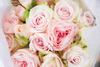  Romance