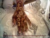  Stellahenna tatouage phmre